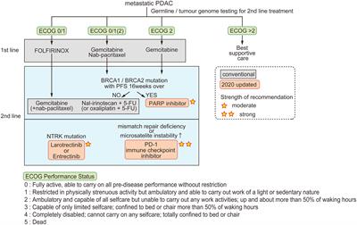 Orchestration of mesenchymal plasticity and immune evasiveness via rewiring of the metabolic program in pancreatic ductal adenocarcinoma